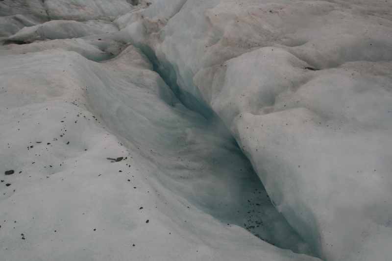 Nieuw-Zeeland 2011 - 1446
